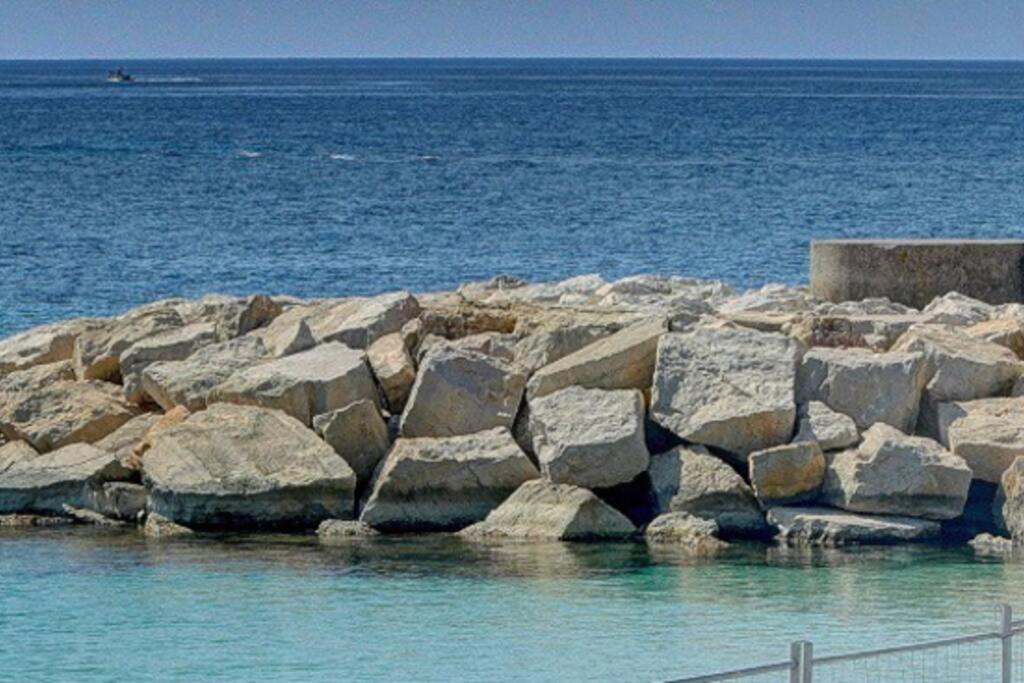 Le Palm - 100M Plage - Croisette - Verriere Cote D'Azur Daire Cannes Dış mekan fotoğraf